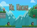 Joc Mr Macagi