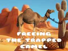 Joc Freeing the Trapped Camel