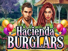 Joc Hacienda Burglars