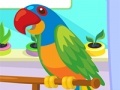 Joc Parrot Care