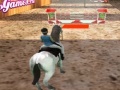 Joc Horse Jumping 3D