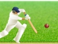 Joc Cricket Defend the Wicket!