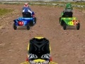 Joc Lawnmower Racing 3D
