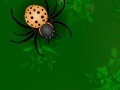 Joc Spiders attack 