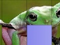 Joc Frog Slide Puzzle