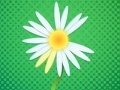 Joc Daisy petals
