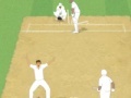 Joc Cricket Umpire Decision