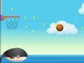 Joc Basketball 