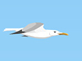 Joc Seagull Flight
