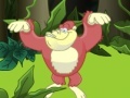 Joc Monkey in the Forest