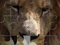 Joc Lion Jigsaw