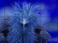 Joc Timid blue bird slide puzzle