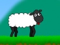Joc Sheep Walk