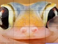 Joc Pink frog slide puzzle