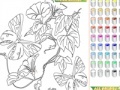 Joc Kid's coloring: Flowers for Butterflies