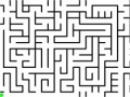 Joc Daily Mouse Maze