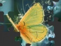 Joc Butterfly