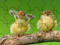 Joc Two cute sparrow puzzle