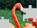 Joc Flamingo puzzle