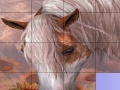 Joc Slide Puzzle: Horse