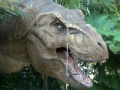 Joc Tyrannosaurus Rex Jigsaw