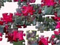 Joc Rose: Jigsaw Puzzle