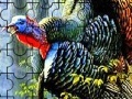 Joc Colorful turkey in the forest puzzle