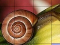 Joc Snail and flower slide puzzle