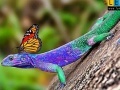 Joc Lizard and butterflies puzzle