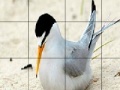 Joc Orange beak bird slide puzzle