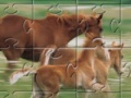 Joc Horse Family Jigsaw Puzzle