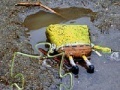 Joc SpongeBob Found Dead Jigsaw Puzzle