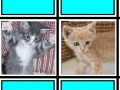 Joc Fuzzy Memory: Kittens