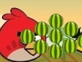 Joc Angry Birds - cut the rope