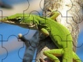 Joc Chameleon On The Tree: Puzzle
