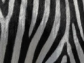 Joc Jigsaw: Zebra Stripes