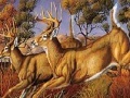 Joc Runner deers slide puzzle