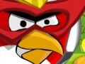 Joc Angry Bird protect home