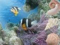 Joc Aquatic Interactive 