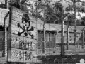 Joc Auschwitz Birkenau