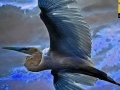 Joc Flying Blue Stork: Puzzle