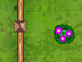 Joc Garden Match
