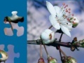 Joc White Flower Jigsaw