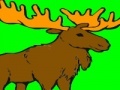 Joc Deer coloring game