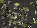 Joc Snake Jigsaw