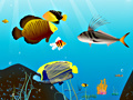 Joc Water World