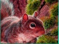 Joc Nuts And Squirrels: Puzzle