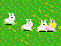 Joc Bunny Bunny Boom