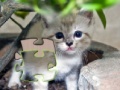 Joc Jigsaw: Happy Kitty