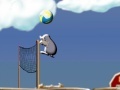 Joc Volleyball